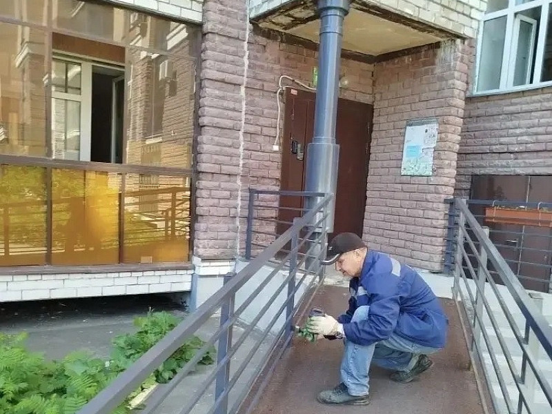 Новые свершения: готовимся к лету